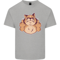 Grumpy Cat Finger Flip Offensive Funny Kids T-Shirt Childrens Sports Grey