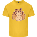 Grumpy Cat Finger Flip Offensive Funny Kids T-Shirt Childrens Yellow