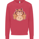 Grumpy Cat Finger Flip Offensive Funny Mens Sweatshirt Jumper Heliconia