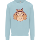 Grumpy Cat Finger Flip Offensive Funny Mens Sweatshirt Jumper Light Blue