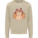 Grumpy Cat Finger Flip Offensive Funny Mens Sweatshirt Jumper Sand