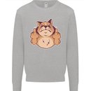 Grumpy Cat Finger Flip Offensive Funny Mens Sweatshirt Jumper Sports Grey