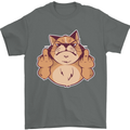 Grumpy Cat Finger Flip Offensive Funny Mens T-Shirt Cotton Gildan Charcoal