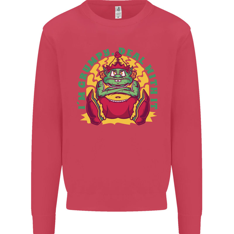 Grumpy Elf Funny Anti Christmas Bah Humbug Kids Sweatshirt Jumper Heliconia