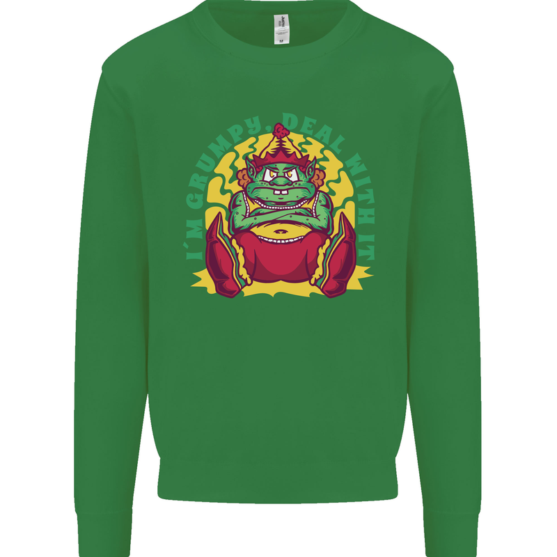 Grumpy Elf Funny Anti Christmas Bah Humbug Kids Sweatshirt Jumper Irish Green