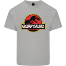 Grumpysaurus Funny Grumpy Old Git Man Mens Cotton T-Shirt Tee Top Sports Grey