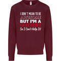 Guitarist I Don't Mean to Be Awesome Guitar Kids Sweatshirt Jumper Maroon