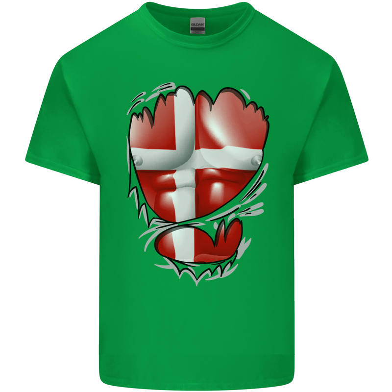 Gym Danish Flag Ripped Muscles Denmark Mens Cotton T-Shirt Tee Top Irish Green