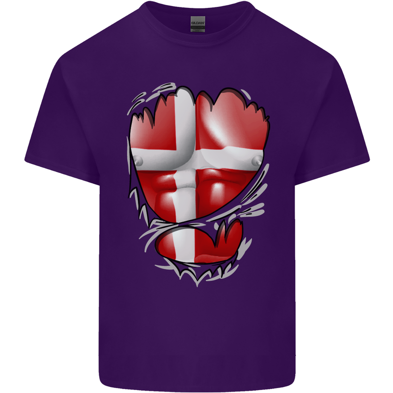 Gym Danish Flag Ripped Muscles Denmark Mens Cotton T-Shirt Tee Top Purple
