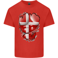Gym Danish Flag Ripped Muscles Denmark Mens Cotton T-Shirt Tee Top Red