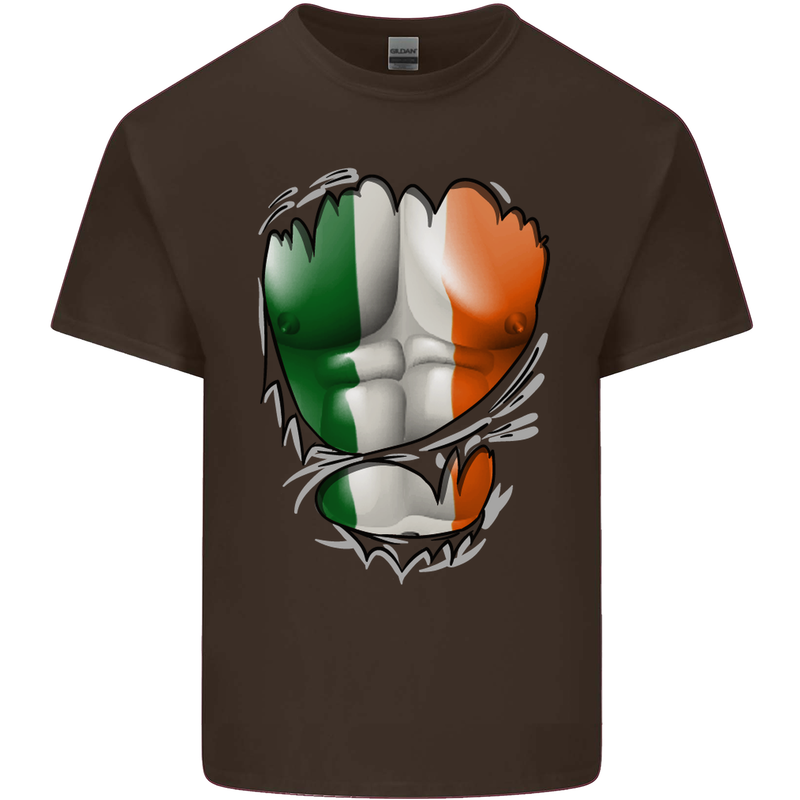 Gym Irish Tricolour Flag Muscles Ireland Mens Cotton T-Shirt Tee Top Dark Chocolate