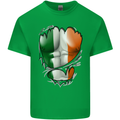 Gym Irish Tricolour Flag Muscles Ireland Mens Cotton T-Shirt Tee Top Irish Green