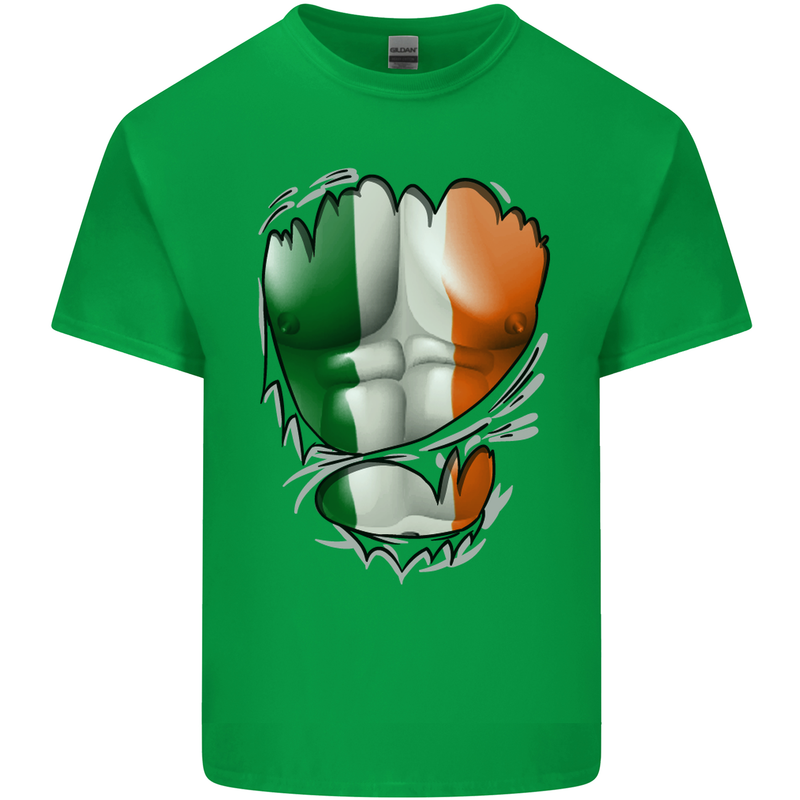 Gym Irish Tricolour Flag Muscles Ireland Mens Cotton T-Shirt Tee Top Irish Green