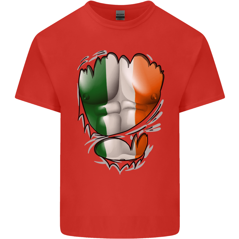 Gym Irish Tricolour Flag Muscles Ireland Mens Cotton T-Shirt Tee Top Red