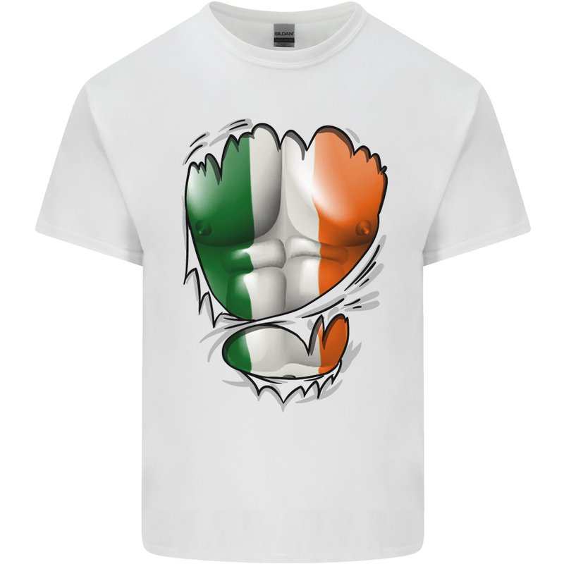Gym Irish Tricolour Flag Muscles Ireland Mens Cotton T-Shirt Tee Top White