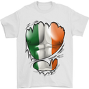Gym Irish Tricolour Flag Muscles Ireland Mens T-Shirt Cotton Gildan White