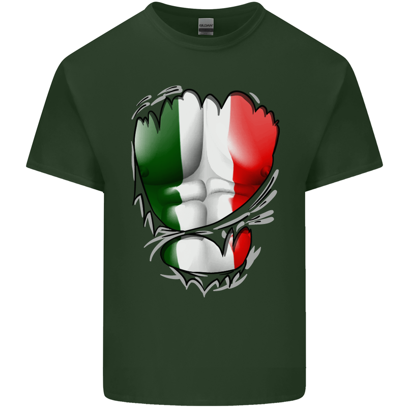 Gym Italian Flag Ripped Muscles Italy Mens Cotton T-Shirt Tee Top Forest Green