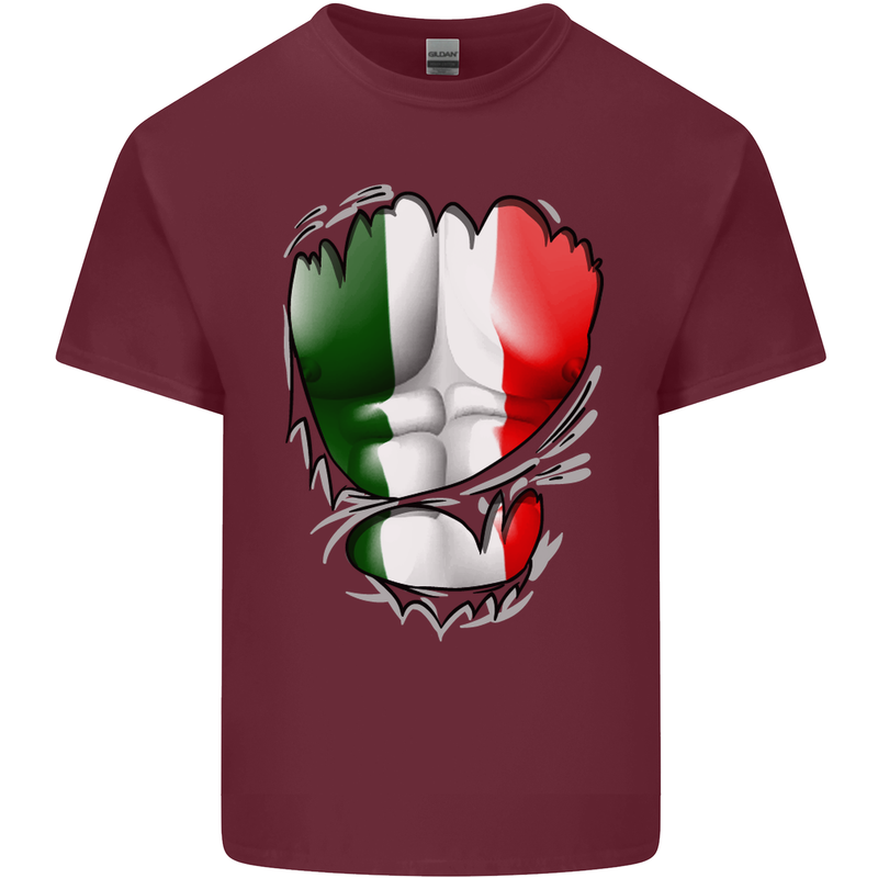 Gym Italian Flag Ripped Muscles Italy Mens Cotton T-Shirt Tee Top Maroon