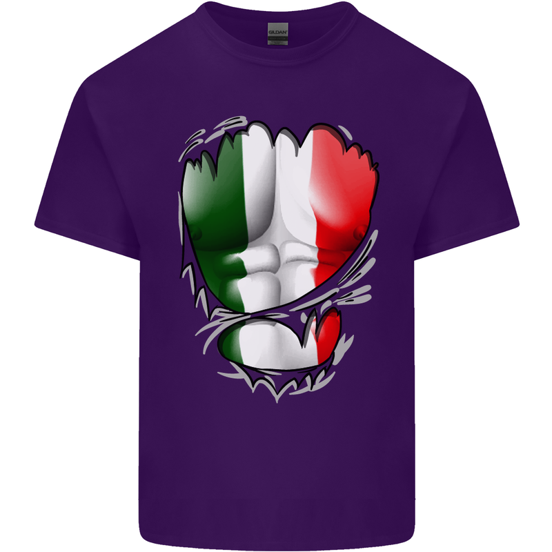 Gym Italian Flag Ripped Muscles Italy Mens Cotton T-Shirt Tee Top Purple