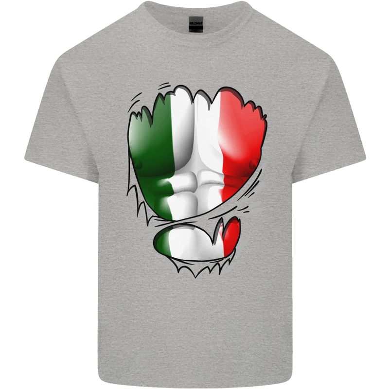 Gym Italian Flag Ripped Muscles Italy Mens Cotton T-Shirt Tee Top Sports Grey