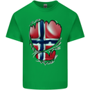 Gym Norwegian Flag Ripped Muscles Norway Mens Cotton T-Shirt Tee Top Irish Green