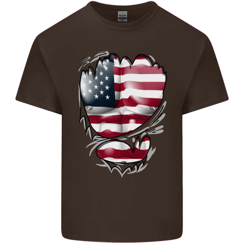 Gym Stars & Stripes American Flag Ripped Mens Cotton T-Shirt Tee Top Dark Chocolate