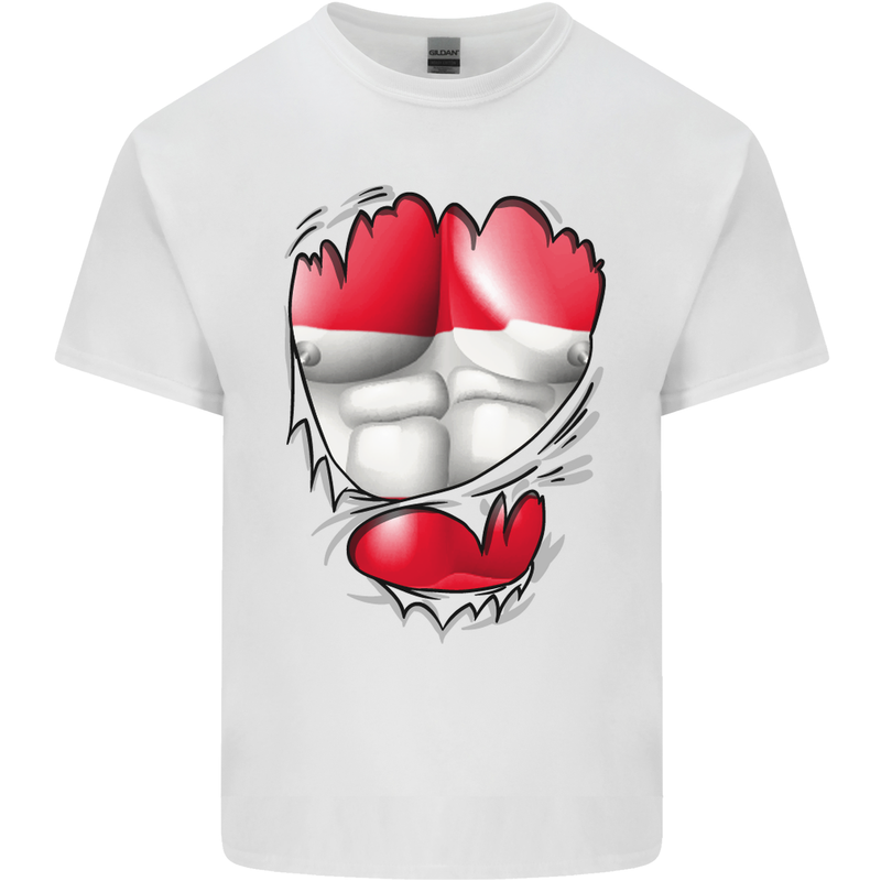 Gym The Austrian Flag Ripped Muscles Austia Kids T-Shirt Childrens White