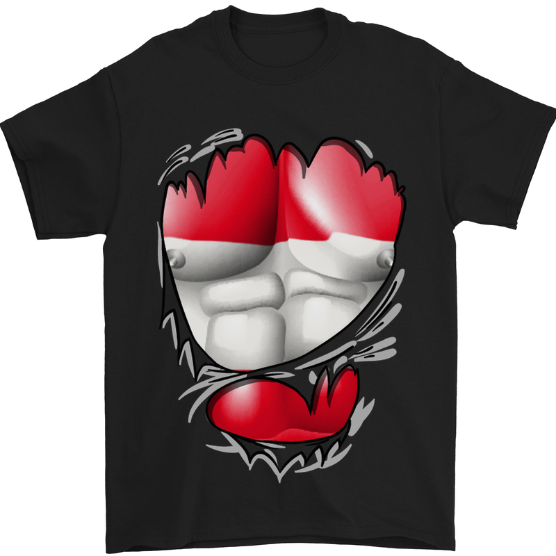 Gym The Austrian Flag Ripped Muscles Austia Mens T-Shirt Cotton Gildan Black