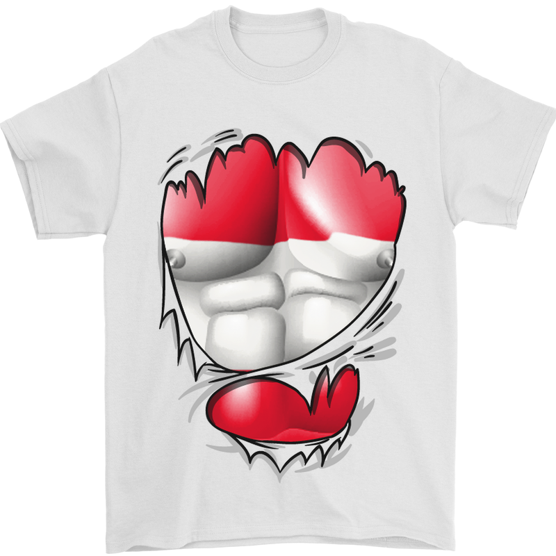 Gym The Austrian Flag Ripped Muscles Austia Mens T-Shirt Cotton Gildan White