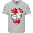 Gym The Austrian Flag Ripped Muscles Austia Mens V-Neck Cotton T-Shirt Sports Grey