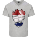 Gym The Dutch Flag Ripped Muscles Holland Mens V-Neck Cotton T-Shirt Sports Grey