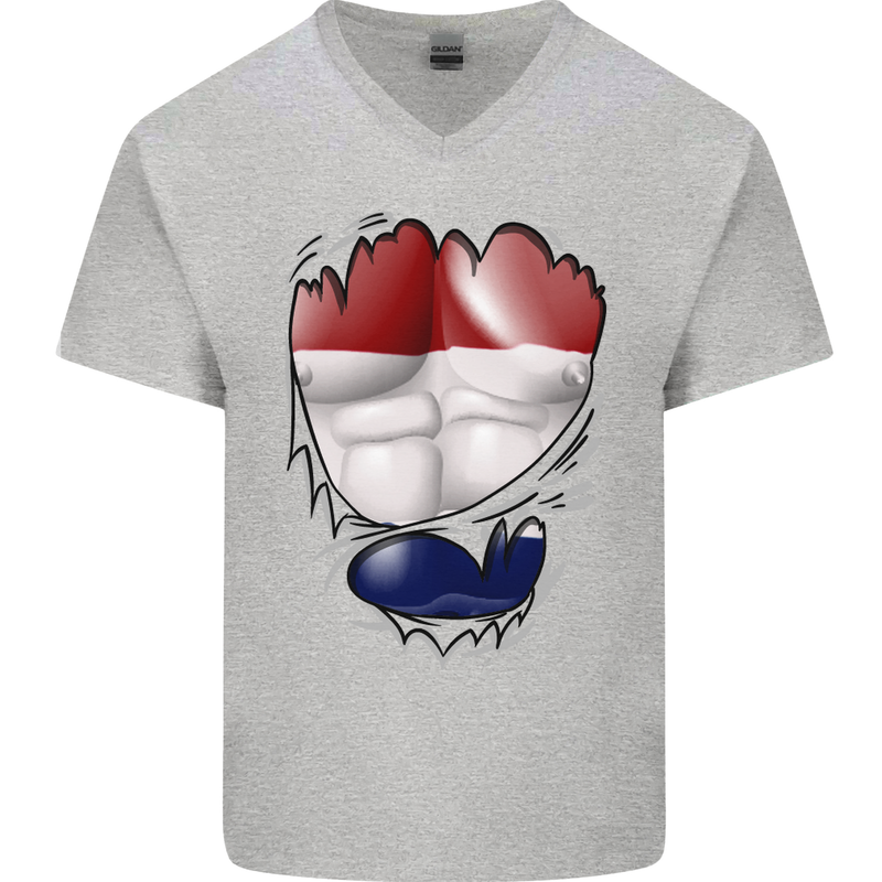 Gym The Dutch Flag Ripped Muscles Holland Mens V-Neck Cotton T-Shirt Sports Grey