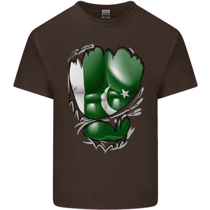 Gym The Pakistan Flag Ripped Muscles Effect Mens Cotton T-Shirt Tee Top Dark Chocolate