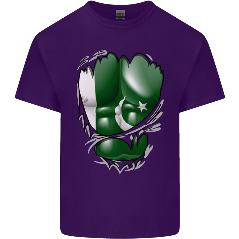 Gym The Pakistan Flag Ripped Muscles Effect Mens Cotton T-Shirt Tee Top Purple