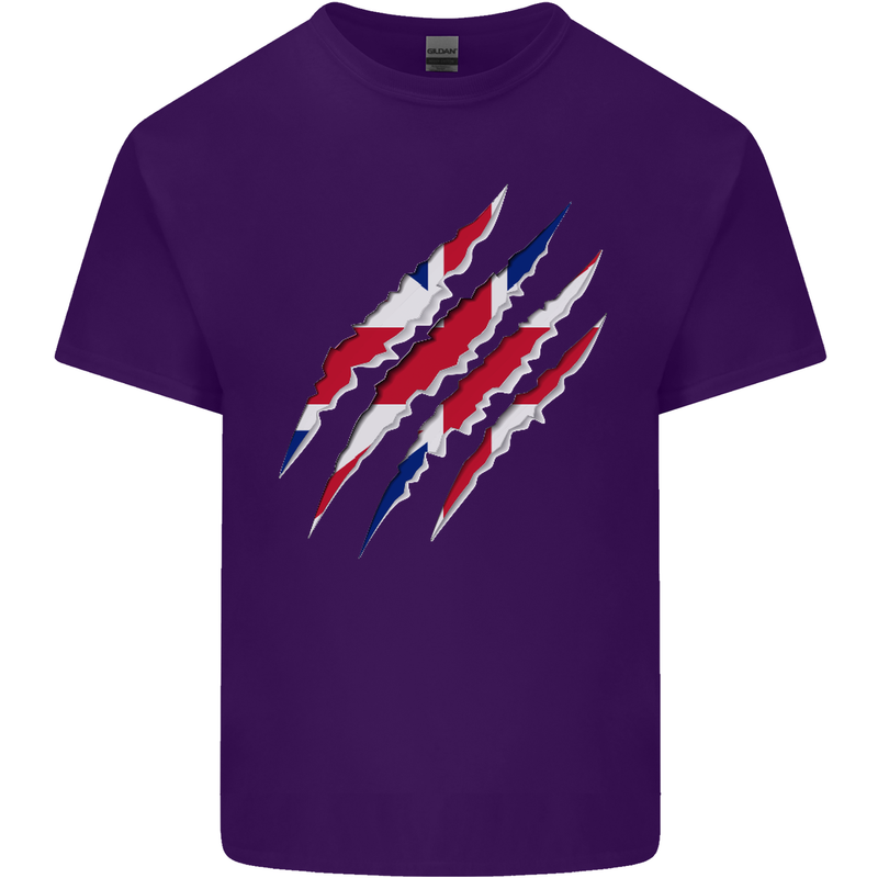 Gym The Union Jack Flag Claw Effect UK Mens Cotton T-Shirt Tee Top Purple