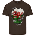 Gym The Welsh Flag Ripped Muscles Wales Kids T-Shirt Childrens Chocolate