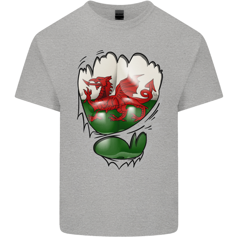 Gym The Welsh Flag Ripped Muscles Wales Kids T-Shirt Childrens Sports Grey