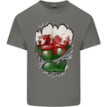 Gym The Welsh Flag Ripped Muscles Wales Mens Cotton T-Shirt Tee Top Charcoal