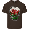 Gym The Welsh Flag Ripped Muscles Wales Mens Cotton T-Shirt Tee Top Dark Chocolate