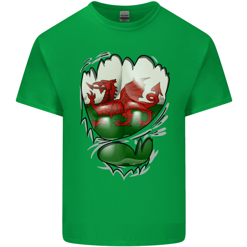 Gym The Welsh Flag Ripped Muscles Wales Mens Cotton T-Shirt Tee Top Irish Green