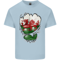 Gym The Welsh Flag Ripped Muscles Wales Mens Cotton T-Shirt Tee Top Light Blue