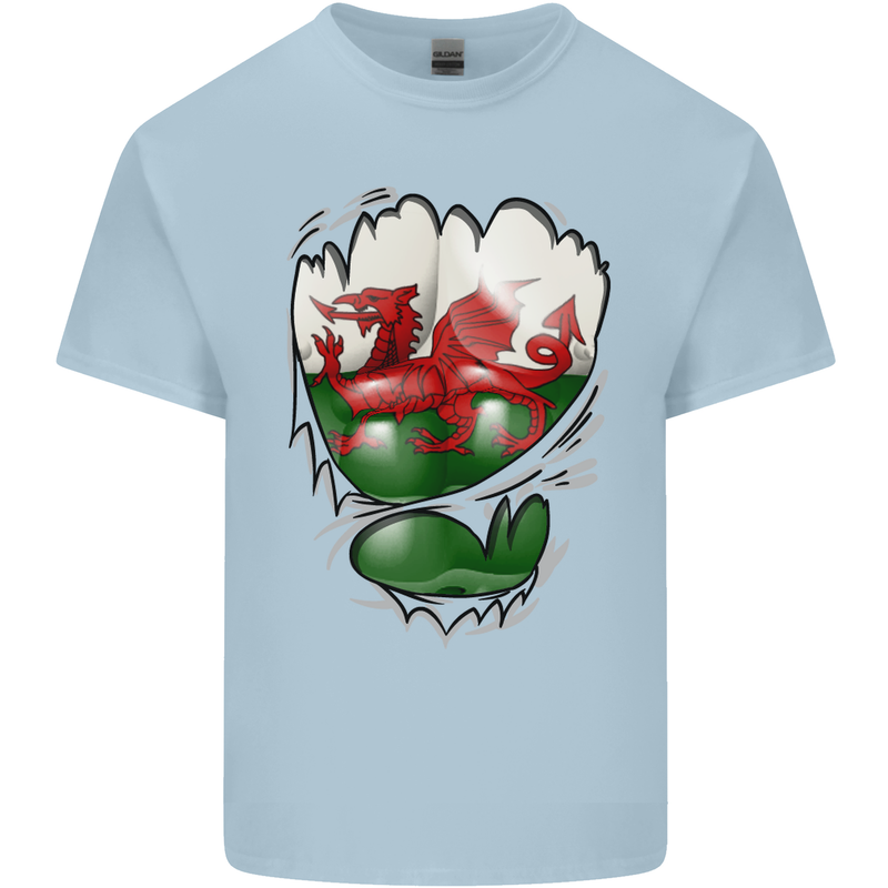Gym The Welsh Flag Ripped Muscles Wales Mens Cotton T-Shirt Tee Top Light Blue