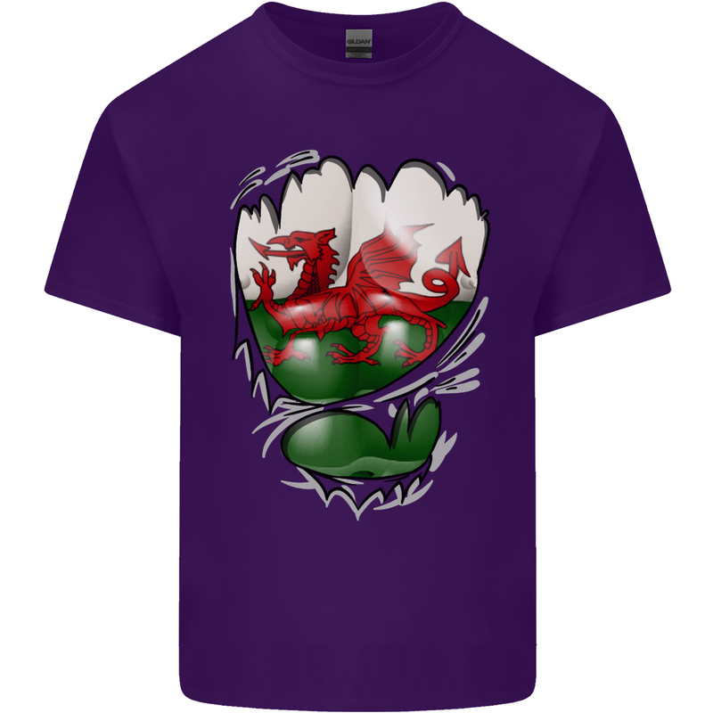 Gym The Welsh Flag Ripped Muscles Wales Mens Cotton T-Shirt Tee Top Purple