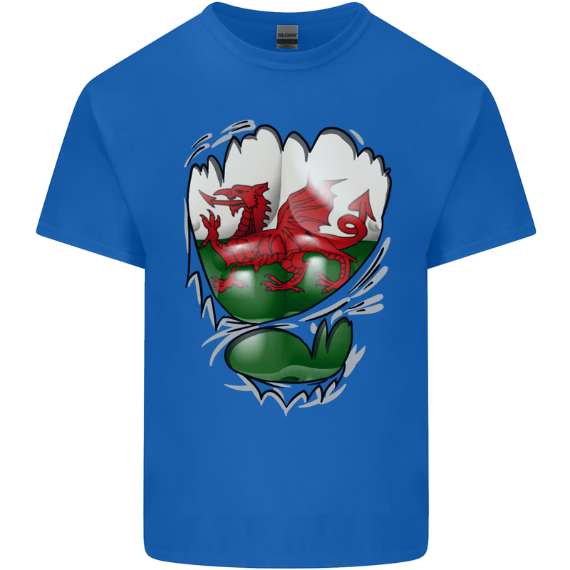 Gym The Welsh Flag Ripped Muscles Wales Mens Cotton T-Shirt Tee Top Royal Blue
