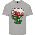 Gym The Welsh Flag Ripped Muscles Wales Mens Cotton T-Shirt Tee Top Sports Grey
