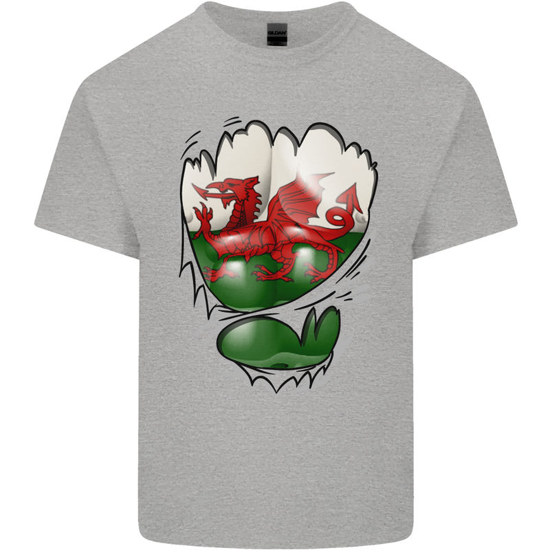Gym The Welsh Flag Ripped Muscles Wales Mens Cotton T-Shirt Tee Top Sports Grey
