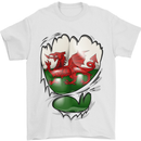 Gym The Welsh Flag Ripped Muscles Wales Mens T-Shirt Cotton Gildan White