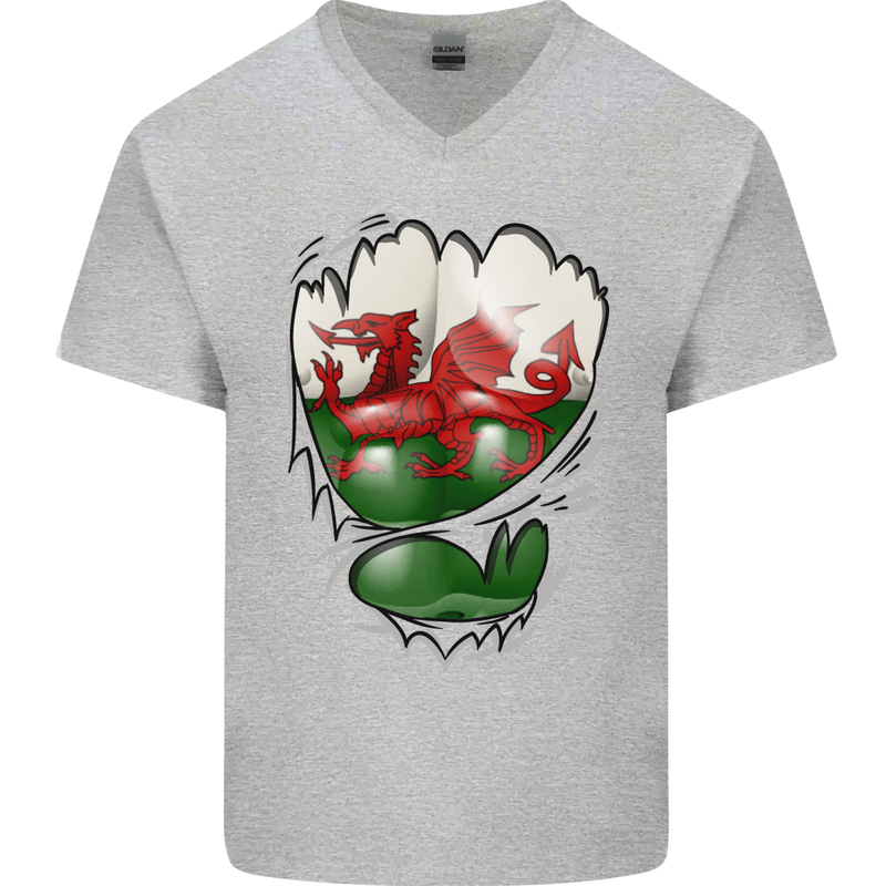 Gym The Welsh Flag Ripped Muscles Wales Mens V-Neck Cotton T-Shirt Sports Grey