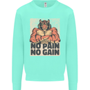 Gym Tiger No Pain No Gain Training Top Kids Sweatshirt Jumper Peppermint