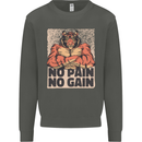 Gym Tiger No Pain No Gain Training Top Kids Sweatshirt Jumper Storm Grey